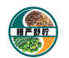 ManYanShuNing worked with BINGO Digi for Baidu search language design