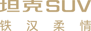 Tank Auto selected BINGO Digital for WeChat community operations and digital strategy