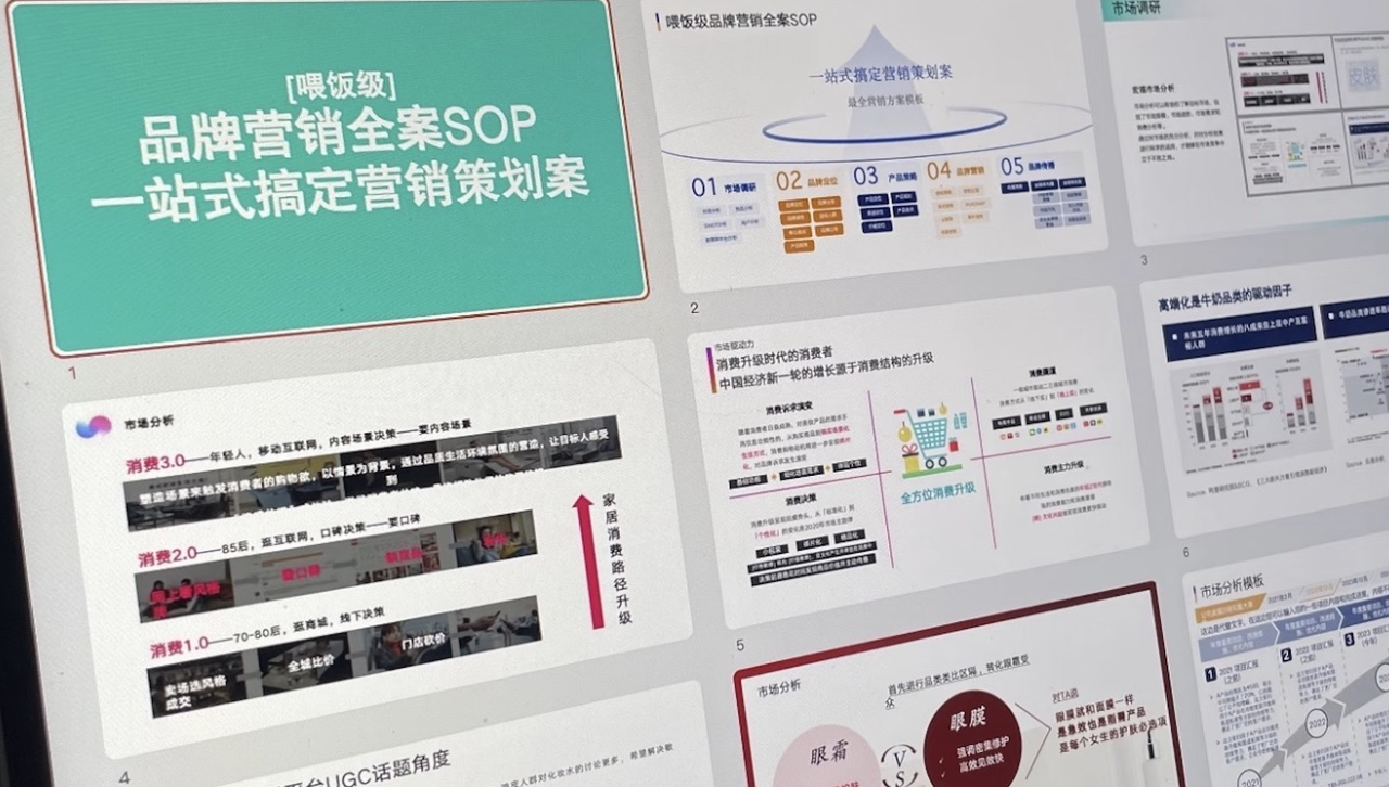 Brand Marketing SOP Presentation showing China Consumer Segments